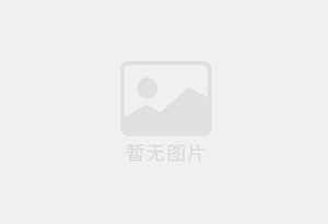赢特牌食品级维生素预混料